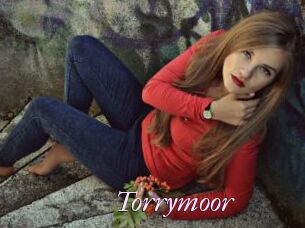 Torrymoor