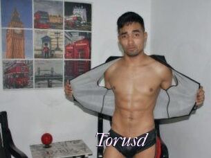 Torusd
