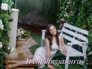 Tremblingsakura