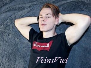 VeinsViet