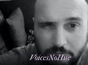 VoicesNoHue