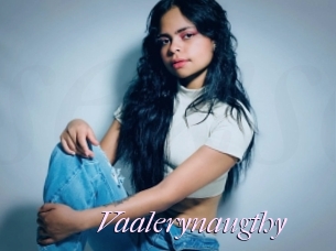 Vaalerynaugthy