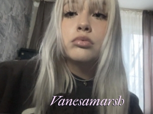 Vanesamarsh