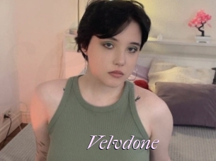 Velvdone