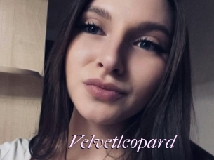 Velvetleopard