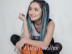 Vulgarmollyx