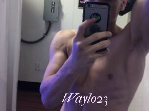 Waylo23