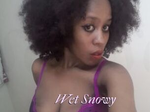 Wet_Snowy