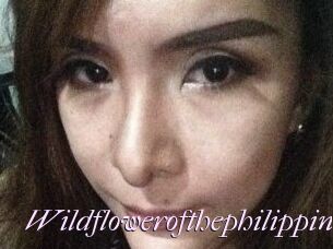 Wildflowerofthephilippines