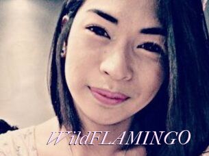 WildFLAMINGO