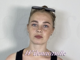Wilonacaudle