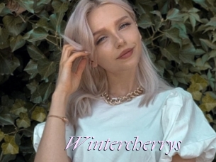 Wintercherrys