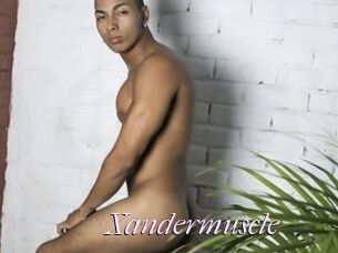 Xandermuscle