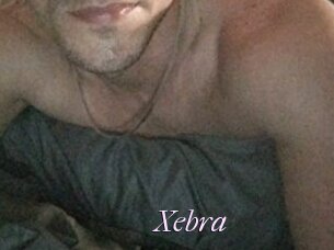 Xebra