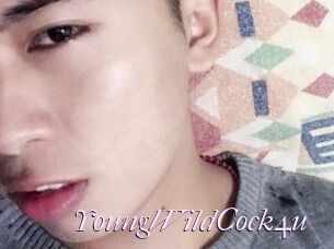 YoungWildCock4u