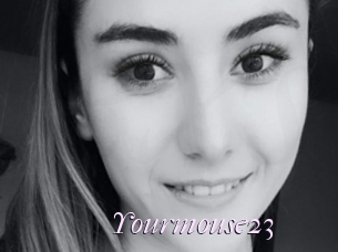 Yourmouse23